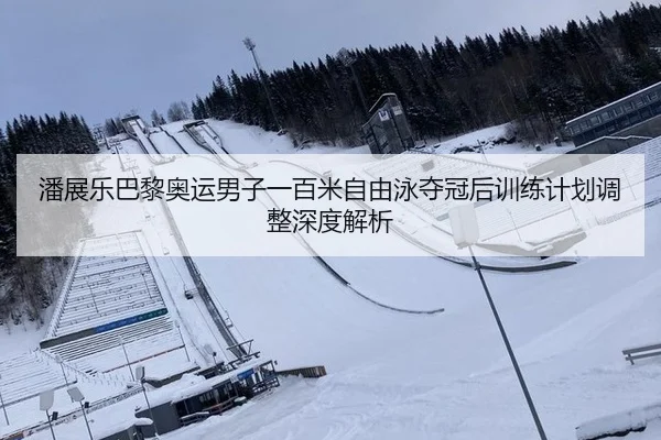 潘展乐巴黎奥运男子一百米自由泳夺冠后训练计划调整深度解析